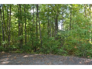Property photo 31 - REAL ESTATE AUCTION IN ALLEN CO., INDIANA